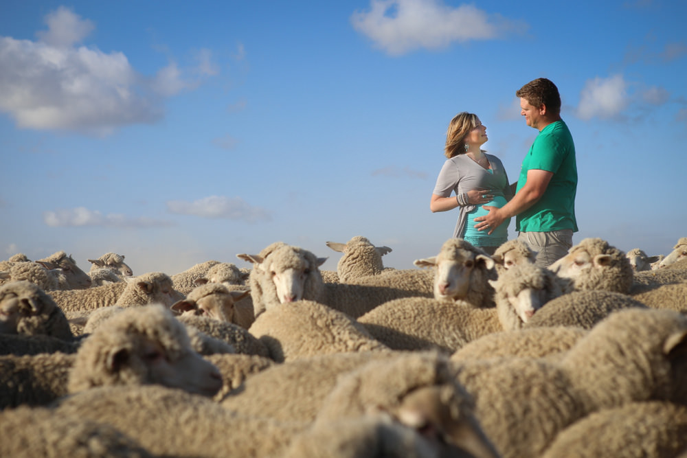 Maternity shoot on the farm with sheep, Garden Route